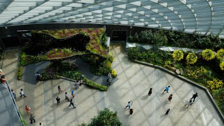 Lush Serenity at Gardens by the Bay in Singapore wallpaper