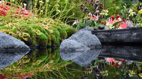 Serene Reflections in a Botanical Paradise wallpaper