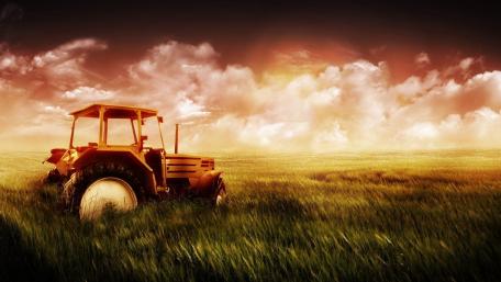 Vibrant Farm Life at Sunrise wallpaper