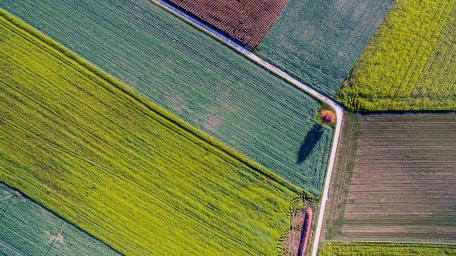 Vibrant Patchwork of Rural Farmland wallpaper