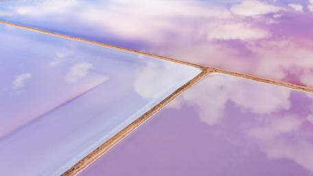 Vibrant Reflections of Nature's Palette wallpaper