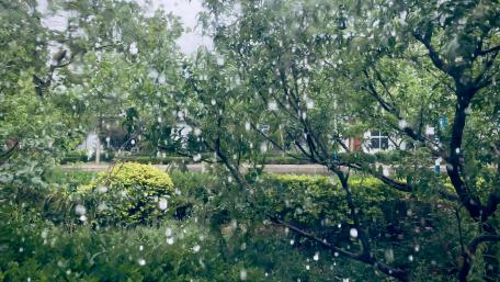 Serene Rainy Day Nature Scene wallpaper