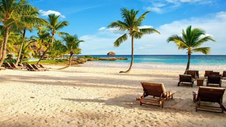 Tropical Paradise: Palm-Fringed Sandy Beach wallpaper