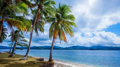 Tropical beach wallpaper