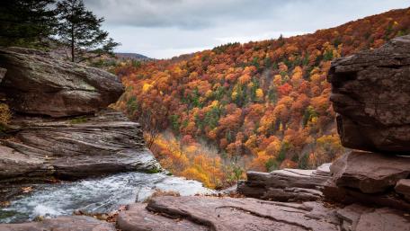 Kaaterskill Falls wallpaper