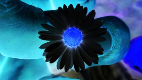 Neon Floral Fusion Blooming Beauty wallpaper