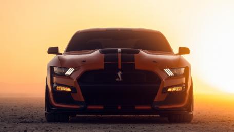 Cobra wallpaper