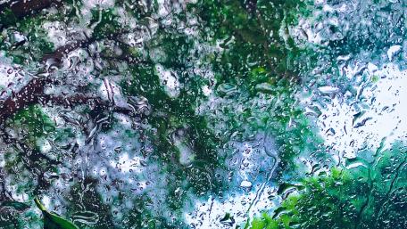 Falling rain wallpaper
