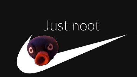 just noot wallpaper
