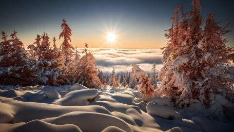 Winter Sunrise wallpaper