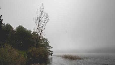 Loneliness wallpaper