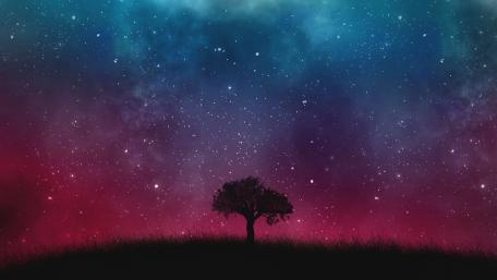 Solitary Tree Under a Starry Night Sky wallpaper