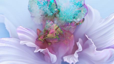 Mystical Blossom Dreamscape wallpaper