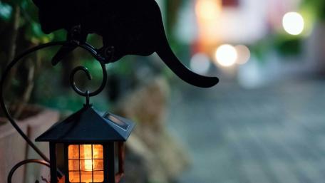 lamp post wallpaper