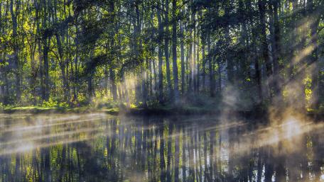 Worcestershire early morning wallpaper