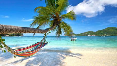 Hammock over the sea wallpaper