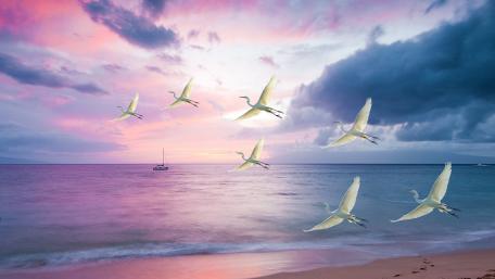 Buckroe Beach wallpaper