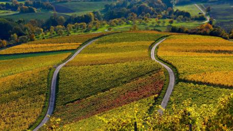Oberschwarzach at fall wallpaper