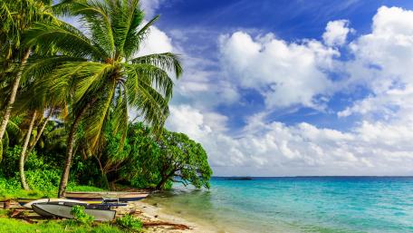 Tropical Serenity by the Sea wallpaper