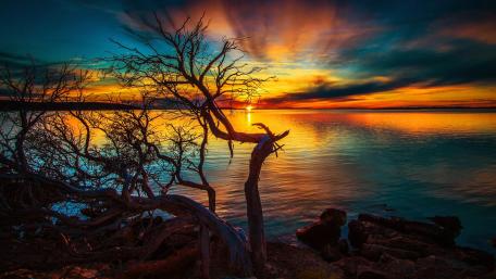 Serene Sunset Over a Tranquil Horizon wallpaper