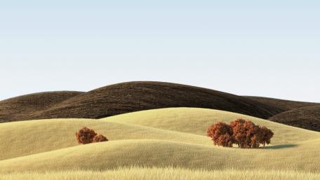 Autumn Serenity in Rolling Hills wallpaper