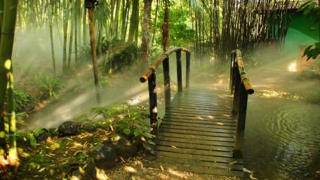 Tranquil Bamboo Forest Bridge Wallpaper wallpaper