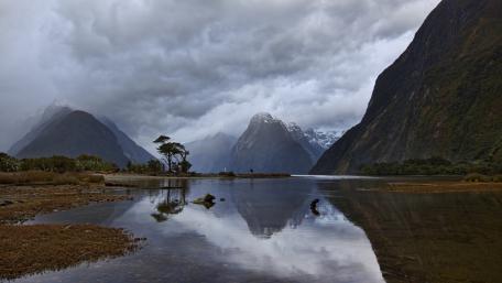Milford Sound New Zealand wallpaper