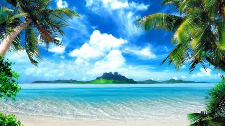 Beach at summer wallpaper