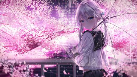 Cherry Blossom Serenity with Anime Schoolgirl wallpaper