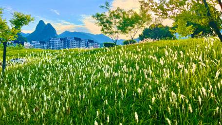 Serene Nature Landscape with Mountains and Grassland wallpaper