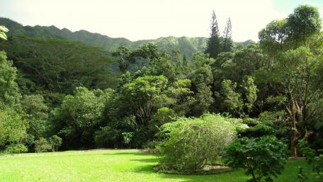 Lush Green Landscape with Majestic Mountains in the Background wallpaper