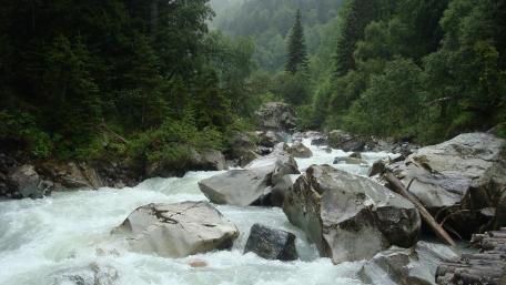 Serenity of a Mountain Riverbed wallpaper
