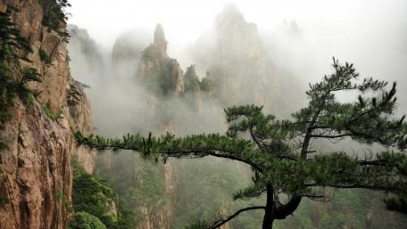 Mystical Cliffscape Surrounded by Fog wallpaper