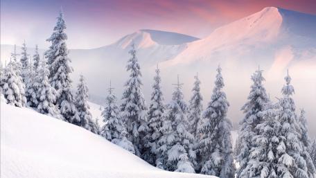 Serene Winter Wonderland with Pink Sky wallpaper