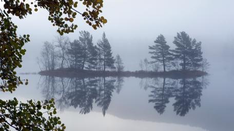 Misty Islet Reflections at Dawn wallpaper