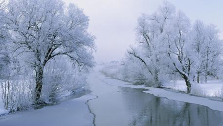 Winter's Tranquil Frosted Landscape wallpaper
