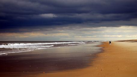 Stormy Beach Serenity wallpaper
