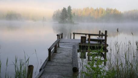 Serene Morning at the Misty Pier wallpaper