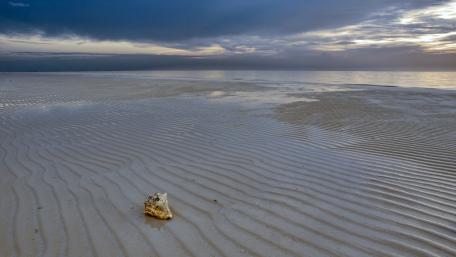 Tranquil Beach at Sunset Moments wallpaper