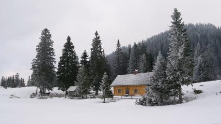 Cozy Winter Cottage in a Snowy Landscape wallpaper