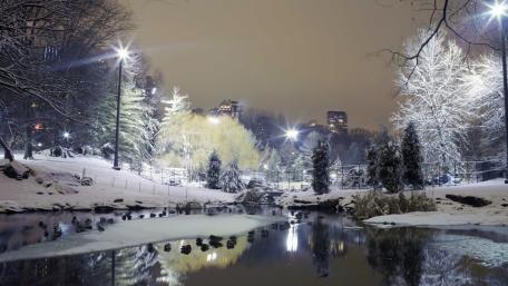 Central Park wallpaper