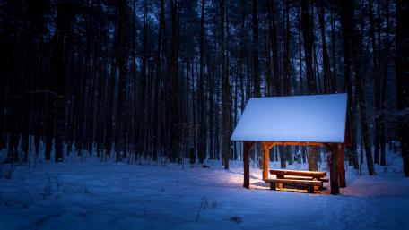 Serene Winter Retreat in the Forest wallpaper