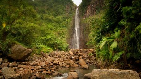 Serene Waterfall Amidst Lush Greenery wallpaper