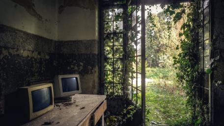 Forgotten Technology in Nature’s Embrace wallpaper