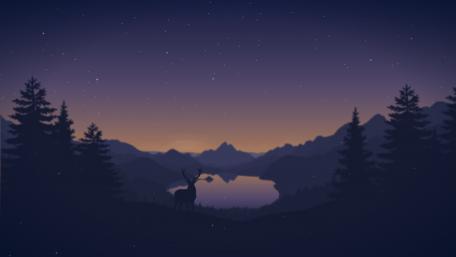 Enchanted Night: Serenity of the Wilderness wallpaper