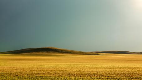 Golden Steppe Serenity Inviting Calmness and Beauty in Nature's Vastness wallpaper