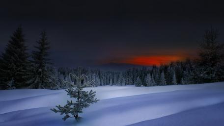 Rhodope Mountains, Bulgaria wallpaper