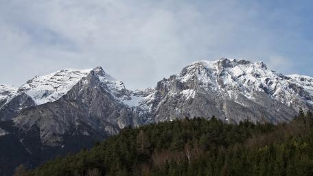 Majestic Snowy Mountains Surrounded by Forests wallpaper