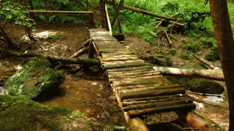 Serene Wooden Bridge in Lush Forest Setting wallpaper