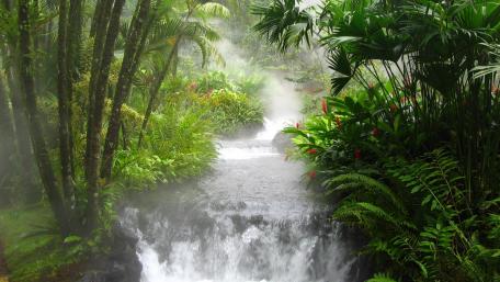 Tropical Waterfall in Lush Jungle Landscape wallpaper